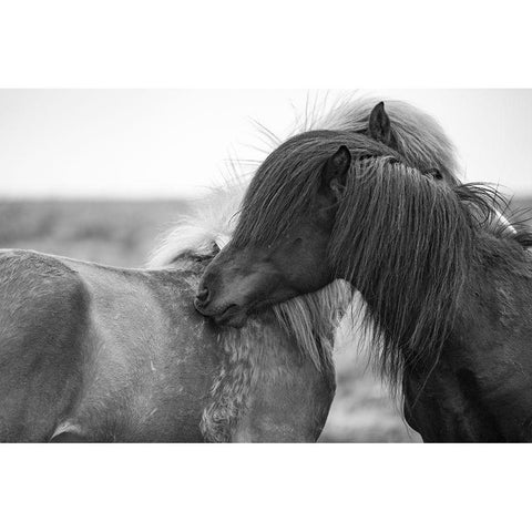 Close Friends Gold Ornate Wood Framed Art Print with Double Matting by The Yellowstone Collection