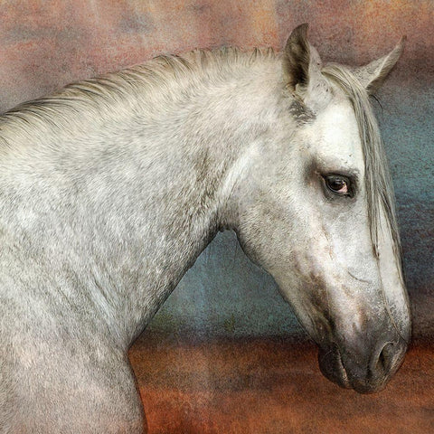 Come up and See me Sometime White Modern Wood Framed Art Print with Double Matting by The Yellowstone Collection