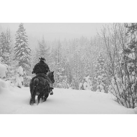 Flathead National Forest, Montana Gold Ornate Wood Framed Art Print with Double Matting by The Yellowstone Collection