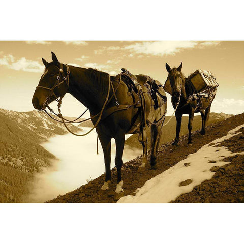 Frank Church-River of No Return Wilderness, Payette National Forest I Gold Ornate Wood Framed Art Print with Double Matting by The Yellowstone Collection