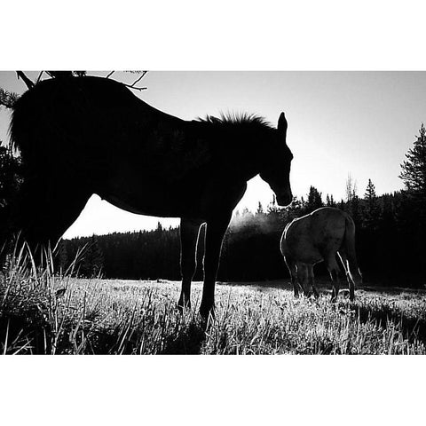 Frank Church-River of No Return Wilderness, Payette National Forest II Black Modern Wood Framed Art Print with Double Matting by The Yellowstone Collection