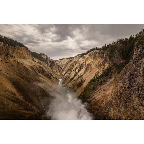 Lower Falls, Yellowstone National Park White Modern Wood Framed Art Print by Frank, Jacob W.