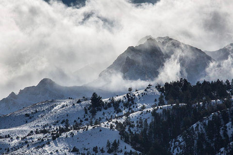 Blowing Snow, Electric Peak, Yellowstone National Park Black Ornate Wood Framed Art Print with Double Matting by The Yellowstone Collection