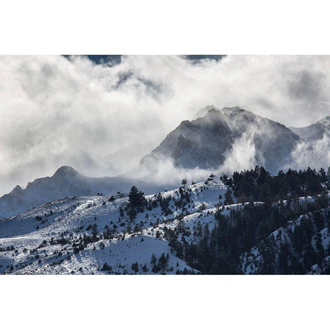 Blowing Snow, Electric Peak, Yellowstone National Park Black Modern Wood Framed Art Print with Double Matting by The Yellowstone Collection