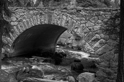 Bridge over Tower Creek, Yellowstone National Park Black Ornate Wood Framed Art Print with Double Matting by The Yellowstone Collection