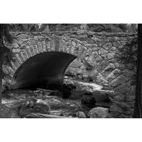 Bridge over Tower Creek, Yellowstone National Park White Modern Wood Framed Art Print by The Yellowstone Collection