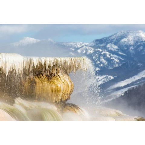 Canary Spring, Mammoth Hot Springs, Yellowstone National Park White Modern Wood Framed Art Print by The Yellowstone Collection