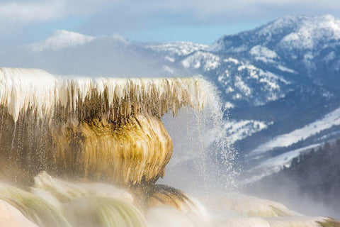 Canary Spring, Mammoth Hot Springs, Yellowstone National Park Black Ornate Wood Framed Art Print with Double Matting by The Yellowstone Collection