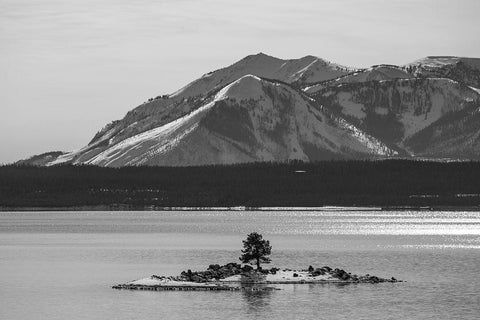 Carrington Island and Mount Sheridan, Yellowstone National Park White Modern Wood Framed Art Print with Double Matting by The Yellowstone Collection