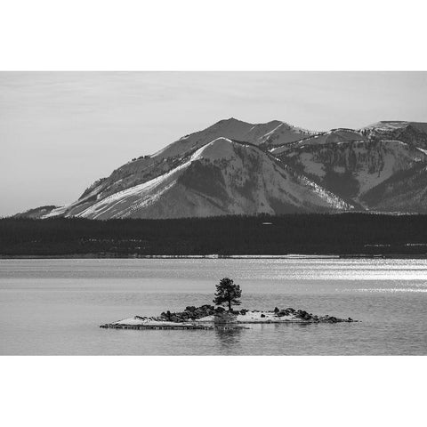 Carrington Island and Mount Sheridan, Yellowstone National Park Black Modern Wood Framed Art Print with Double Matting by The Yellowstone Collection