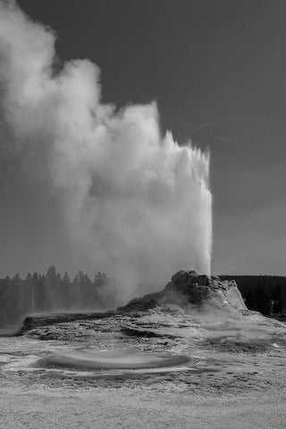 Castle Geyser, Yellowstone National Park White Modern Wood Framed Art Print with Double Matting by Renkin, Diane