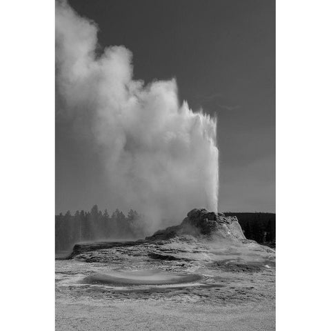 Castle Geyser, Yellowstone National Park White Modern Wood Framed Art Print by Renkin, Diane
