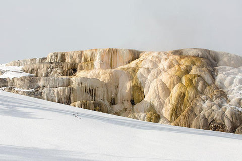 Cleopatra Spring, Mammoth Hot Springs, Yellowstone National Park White Modern Wood Framed Art Print with Double Matting by The Yellowstone Collection