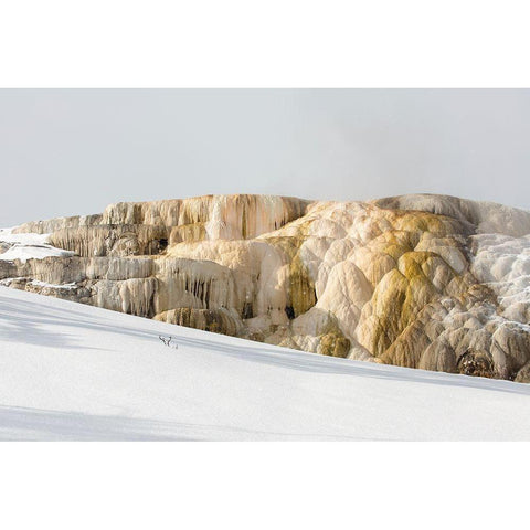 Cleopatra Spring, Mammoth Hot Springs, Yellowstone National Park Black Modern Wood Framed Art Print with Double Matting by The Yellowstone Collection
