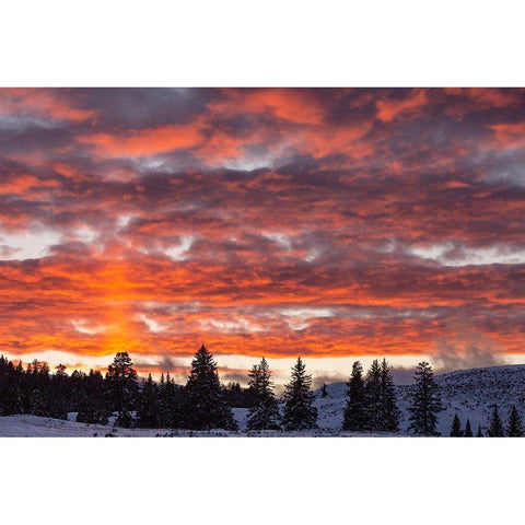 Winter Sunset in Lamar Valley, Yellowstone National Park Black Modern Wood Framed Art Print with Double Matting by The Yellowstone Collection