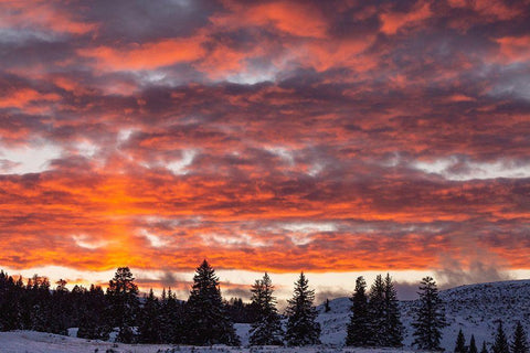 Winter Sunset in Lamar Valley, Yellowstone National Park Black Ornate Wood Framed Art Print with Double Matting by The Yellowstone Collection