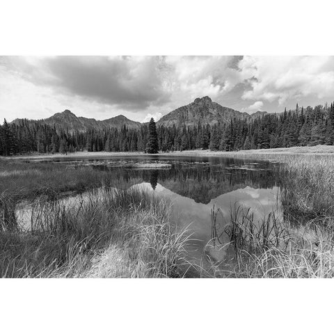 Custer-Gallatin National Forest, Knox Lake Trail, Yellowstone National Park White Modern Wood Framed Art Print by The Yellowstone Collection