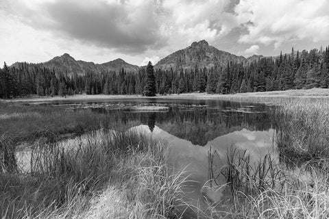 Custer-Gallatin National Forest, Knox Lake Trail, Yellowstone National Park White Modern Wood Framed Art Print with Double Matting by The Yellowstone Collection