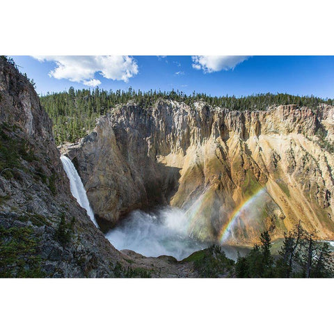 Lower Falls from Uncle Toms Trail, Yellowstone National Park White Modern Wood Framed Art Print by Herbert, Neal