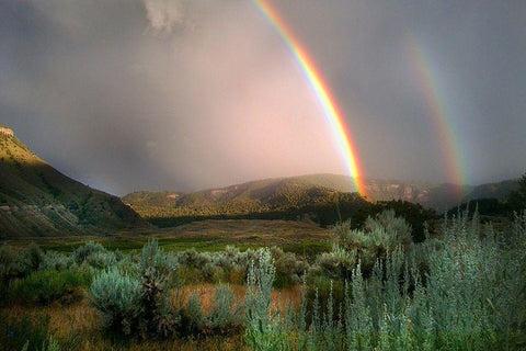 Double Rainbow from Lower Mammoth, Yellowstone National Park White Modern Wood Framed Art Print with Double Matting by The Yellowstone Collection