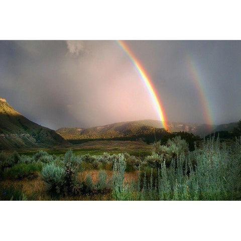 Double Rainbow from Lower Mammoth, Yellowstone National Park Gold Ornate Wood Framed Art Print with Double Matting by The Yellowstone Collection