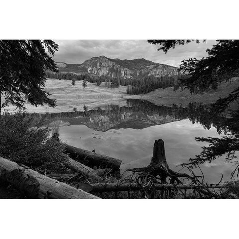 Early Morning at Trout Lake, Yellowstone National Park Black Modern Wood Framed Art Print with Double Matting by The Yellowstone Collection