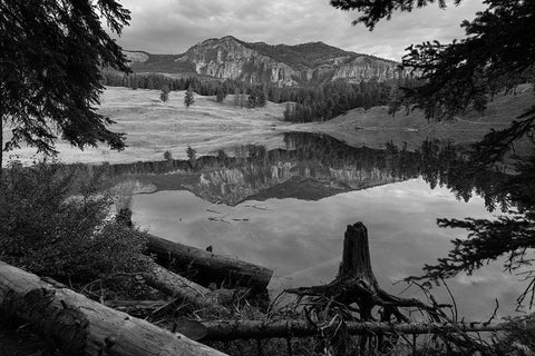 Early Morning at Trout Lake, Yellowstone National Park White Modern Wood Framed Art Print with Double Matting by The Yellowstone Collection