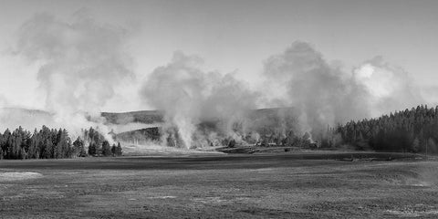 Early Morning Steam, Upper Geyser Basin, Yellowstone National Park Black Ornate Wood Framed Art Print with Double Matting by The Yellowstone Collection