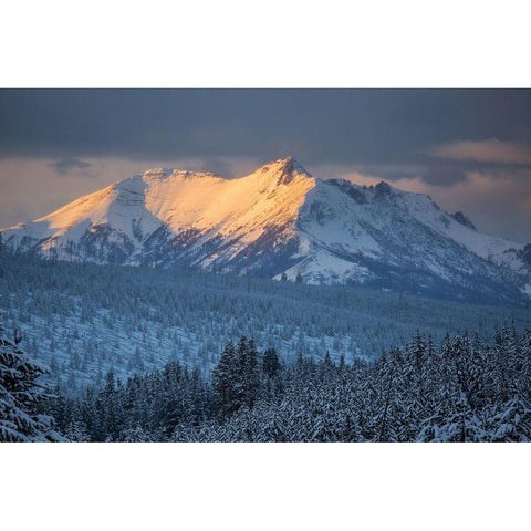 Electric Peak at Sunset, Yellowstone National Park White Modern Wood Framed Art Print by Herbert, Neal