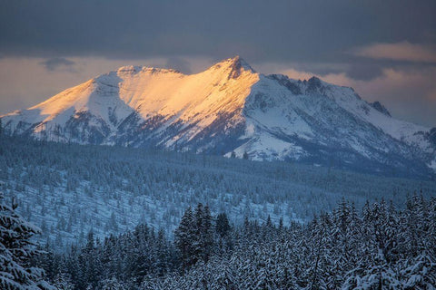 Electric Peak at Sunset, Yellowstone National Park White Modern Wood Framed Art Print with Double Matting by Herbert, Neal