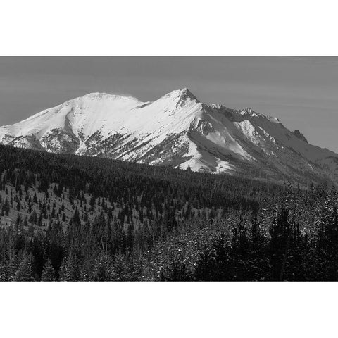 Electric Peak from Obsidian Canyon, Yellowstone National Park White Modern Wood Framed Art Print by Frank, Jacob W.