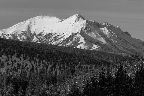 Electric Peak from Obsidian Canyon, Yellowstone National Park Black Ornate Wood Framed Art Print with Double Matting by Frank, Jacob W.