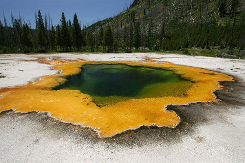 Emerald Pool in Black Sand Basin, Yellowstone National Park White Modern Wood Framed Art Print with Double Matting by Peaco, Jim