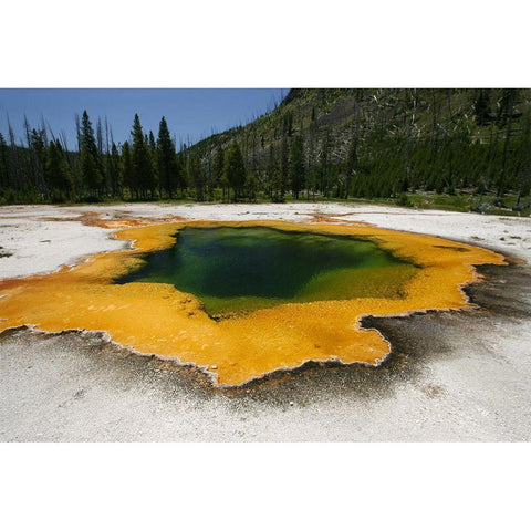 Emerald Pool in Black Sand Basin, Yellowstone National Park Gold Ornate Wood Framed Art Print with Double Matting by Peaco, Jim