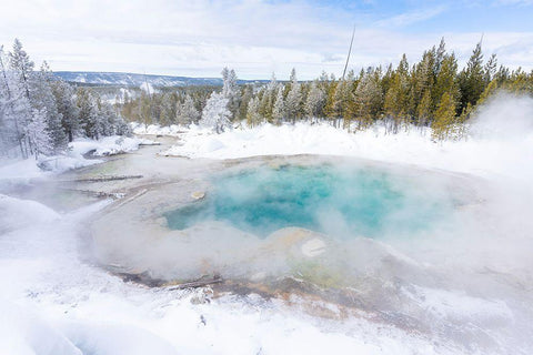 Emerald Spring, Yellowstone National Park Black Ornate Wood Framed Art Print with Double Matting by The Yellowstone Collection