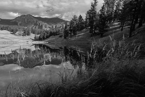 Fall Reflections at Trout Lake, Yellowstone National Park White Modern Wood Framed Art Print with Double Matting by Frank, Jacob W.