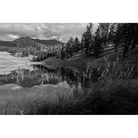 Fall Reflections at Trout Lake, Yellowstone National Park Black Modern Wood Framed Art Print with Double Matting by Frank, Jacob W.