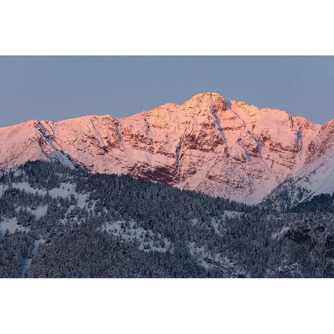 First light on Electric Peak, Yellowstone National Park Gold Ornate Wood Framed Art Print with Double Matting by Frank, Jacob W.