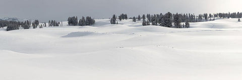 Fresh Snow, Blacktail Deer Plateau, Yellowstone National Park White Modern Wood Framed Art Print with Double Matting by The Yellowstone Collection