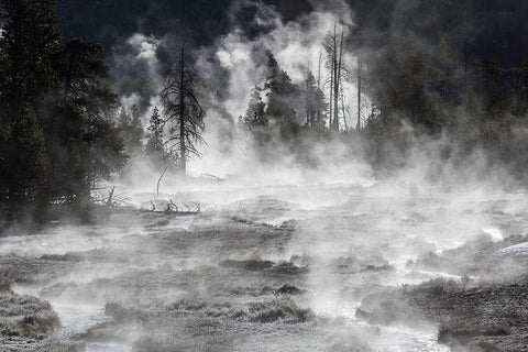 Frost and Steam, Midway Geyser Basin, Yellowstone National Park White Modern Wood Framed Art Print with Double Matting by The Yellowstone Collection