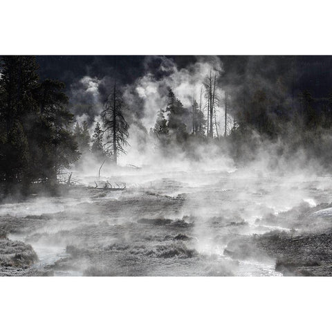Frost and Steam, Midway Geyser Basin, Yellowstone National Park White Modern Wood Framed Art Print by The Yellowstone Collection