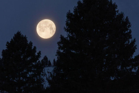 Full Moon sets Over Sepulcher Mountain, Yellowstone National Park White Modern Wood Framed Art Print with Double Matting by The Yellowstone Collection