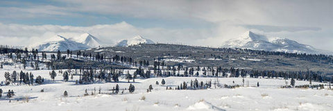 Gallatin Mountains from Blacktail Deer Plateau, Yellowstone National Park Black Ornate Wood Framed Art Print with Double Matting by The Yellowstone Collection