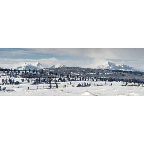 Gallatin Mountains from Blacktail Deer Plateau, Yellowstone National Park Black Modern Wood Framed Art Print with Double Matting by The Yellowstone Collection