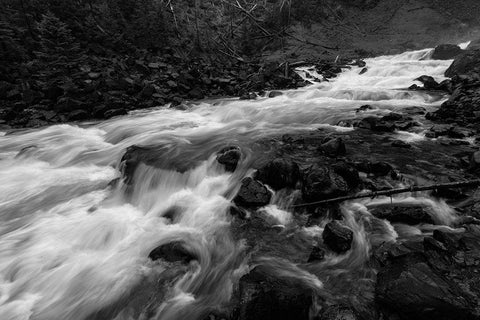 Gardner River below Osprey Falls, Yellowstone National Park White Modern Wood Framed Art Print with Double Matting by Frank, Jacob W.