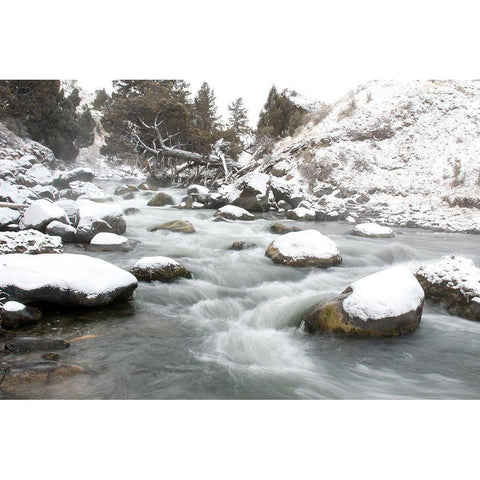 Gardner River, Yellowstone National Park White Modern Wood Framed Art Print by Peaco, Jim