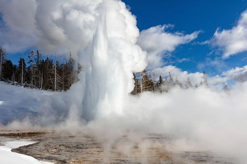 Grand Geyser Eruption, Yellowstone National Park White Modern Wood Framed Art Print with Double Matting by Frank, Jacob W.