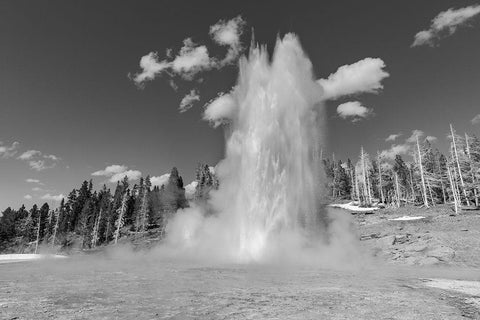 Grand Geyser Eruption, Yellowstone National Park White Modern Wood Framed Art Print with Double Matting by The Yellowstone Collection