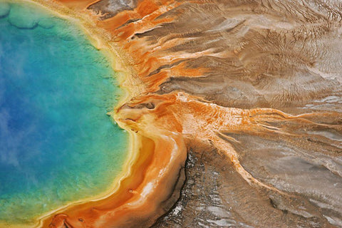 Grand Prismatic Spring, Yellowstone National Park Black Ornate Wood Framed Art Print with Double Matting by Peaco, Jim