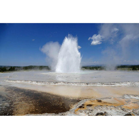 Great Fountain Geyser, Yellowstone National Park White Modern Wood Framed Art Print by Renkin, Diane